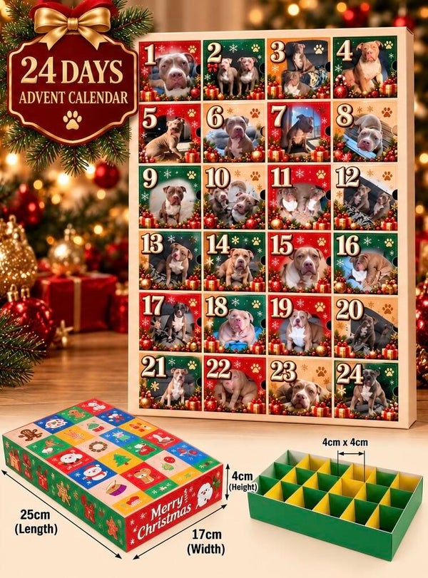 24 Days Of Pawty Time