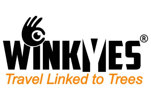WINKYES Travel Linked to Trees