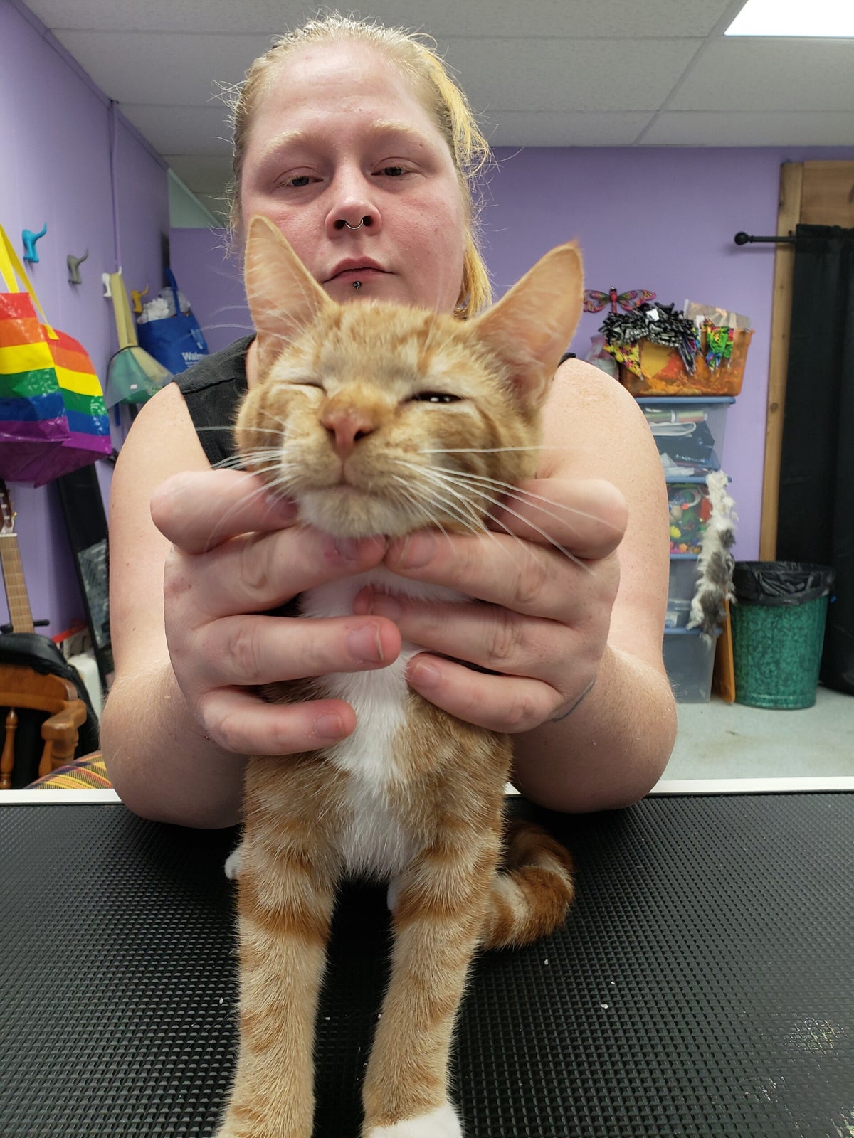 Our Services | Pawsitivity