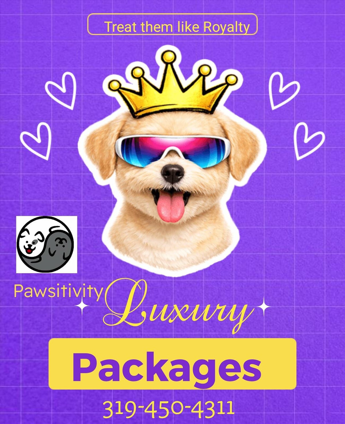 Our Services | Pawsitivity