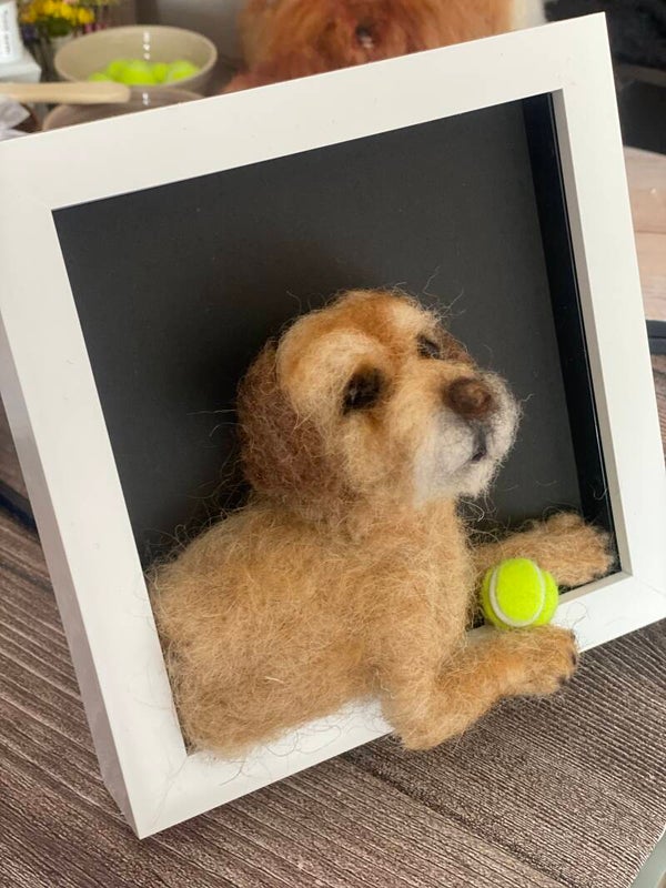 Framed ‘half dog’ with tennis ball £70 plus p&p