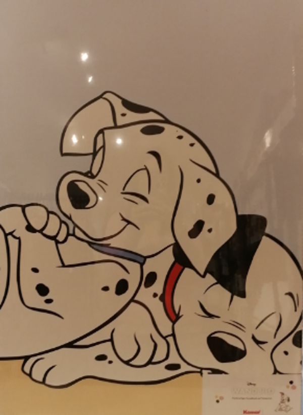 fotokarton 101 dalmatiërs