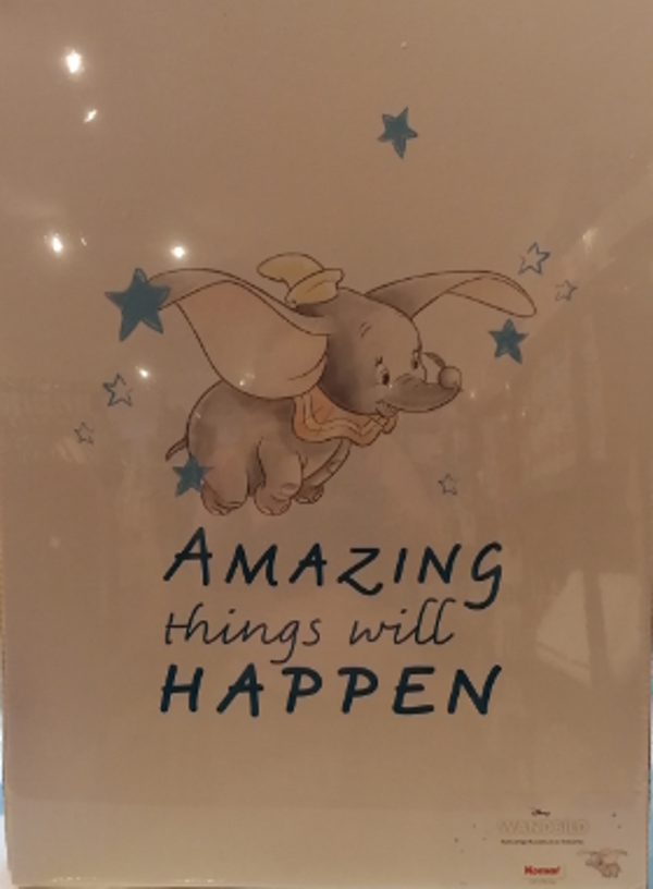 fotokarton Dumbo