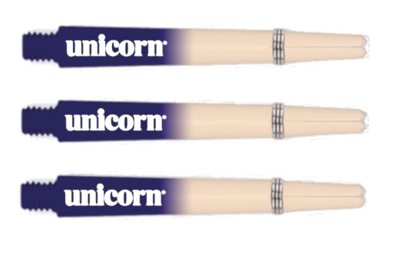 Unicorn shafts cosmos aurora
