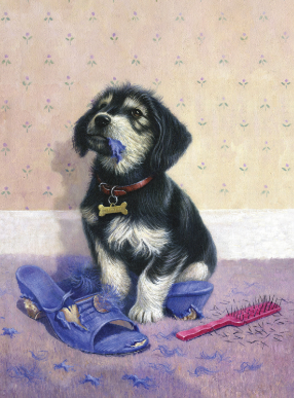 Schilderen op nummer bad puppy