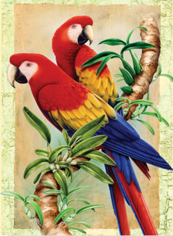Schilderen op nummer bamboo parrots