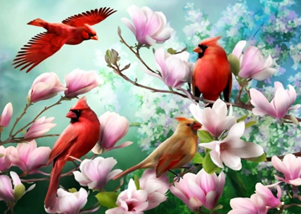 Birds