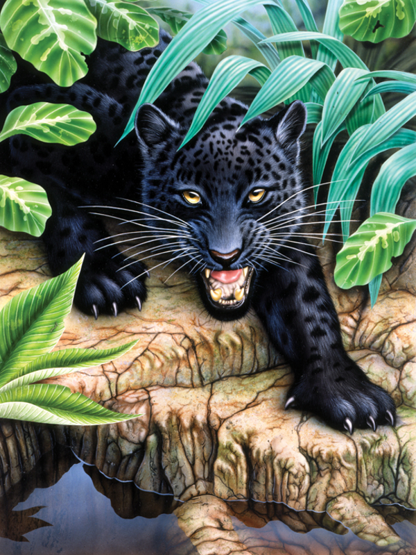 Schilderen op nummer black leopard