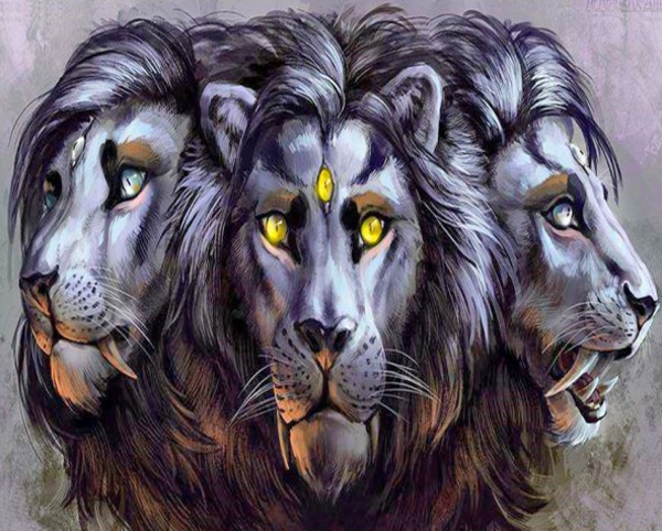 Black lions