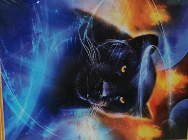 Black panther