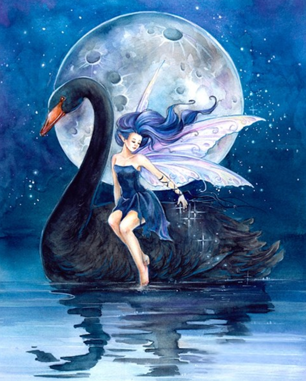 Black swan