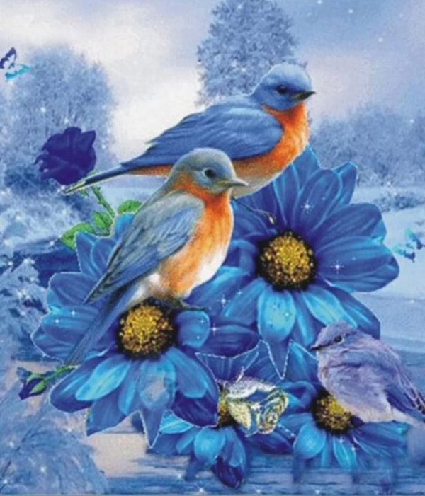 blue birds