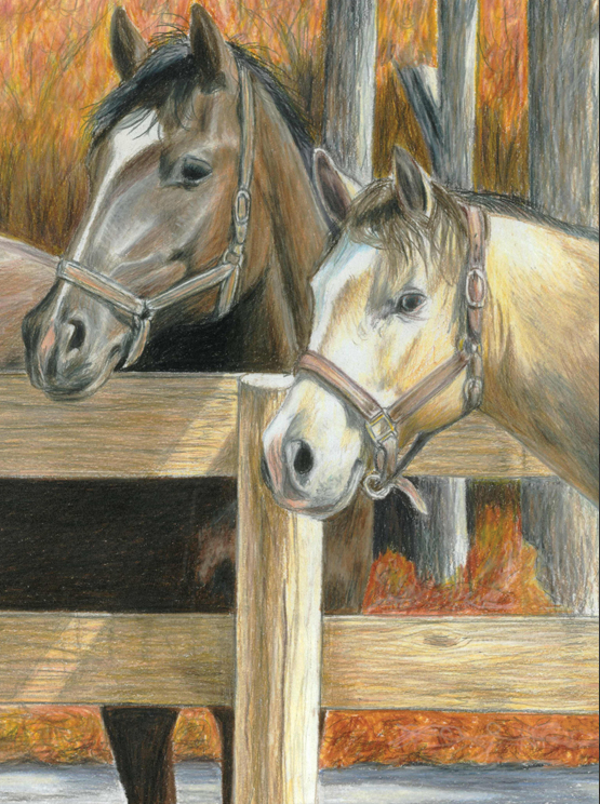 Kleuren op nummer buck's pal