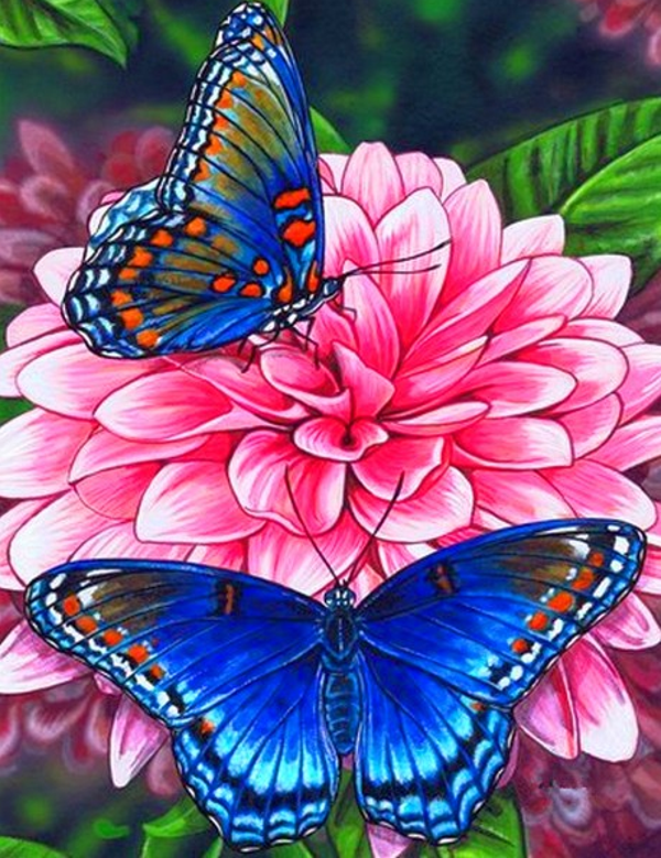 butterflies