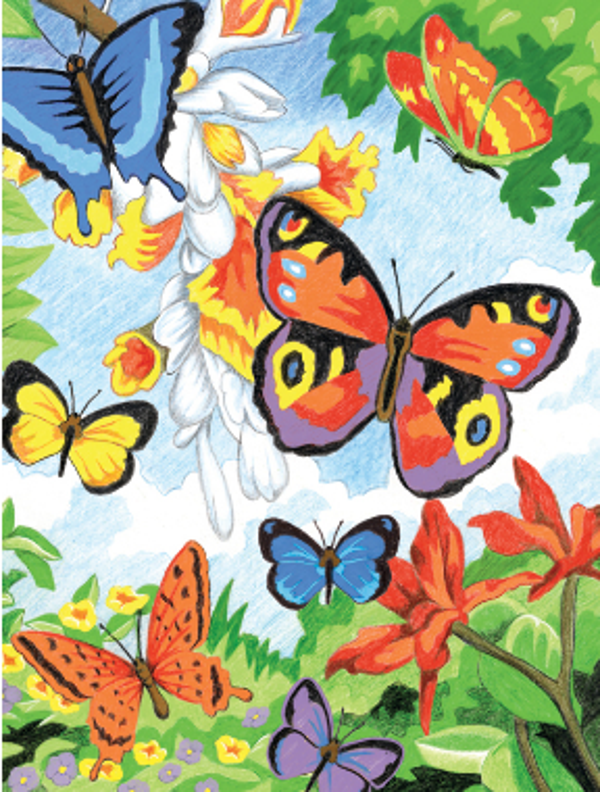 Kleuren op nummer butterflies