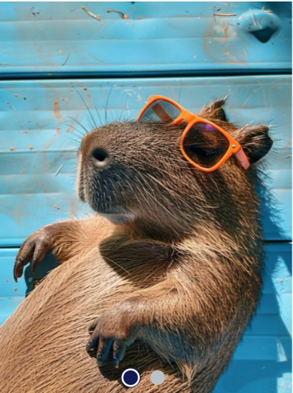 Diamond Painting -Canvas 30x20cm Capybara