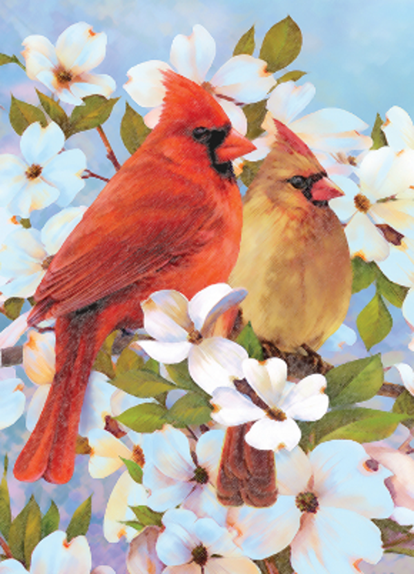 Kleuren op nummer Cardinal pair