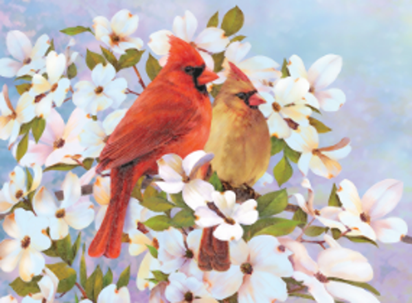 Kleuren op nummer Cardinals