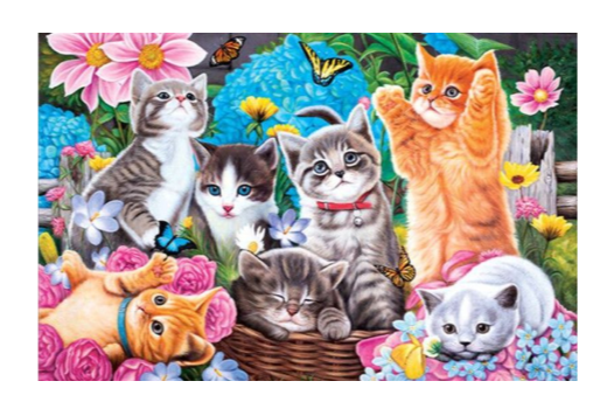 Diamond Painting -Canvas 40x30cm - Painting 35x25cm Cats