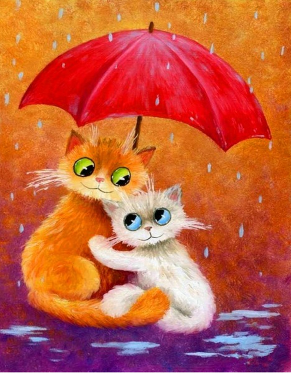 Cats in the rain