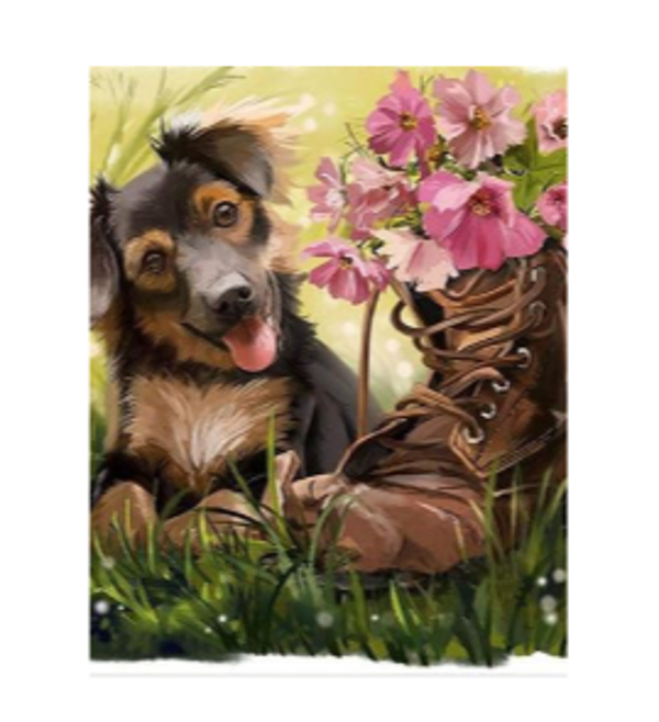 Diamond Painting Canvas 40x30cm - Painting 35x25cm Dog Shoe
