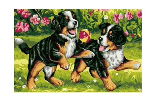 Diamond Painting -Canvas 40x30cm