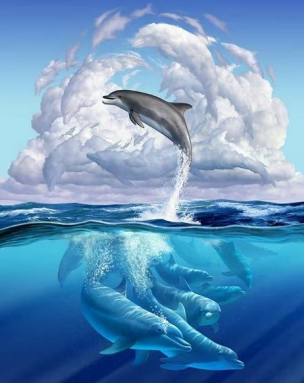 Dolphins