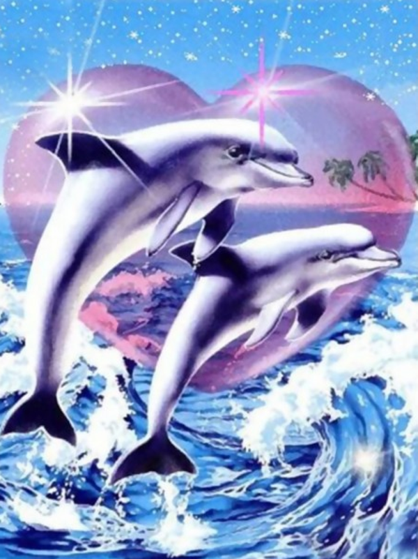 Dolphins