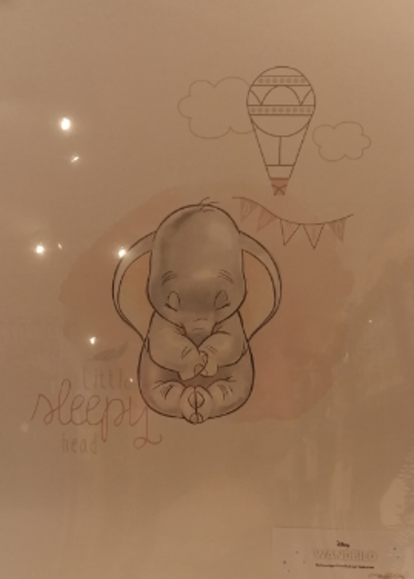 fotokarton Dumbo