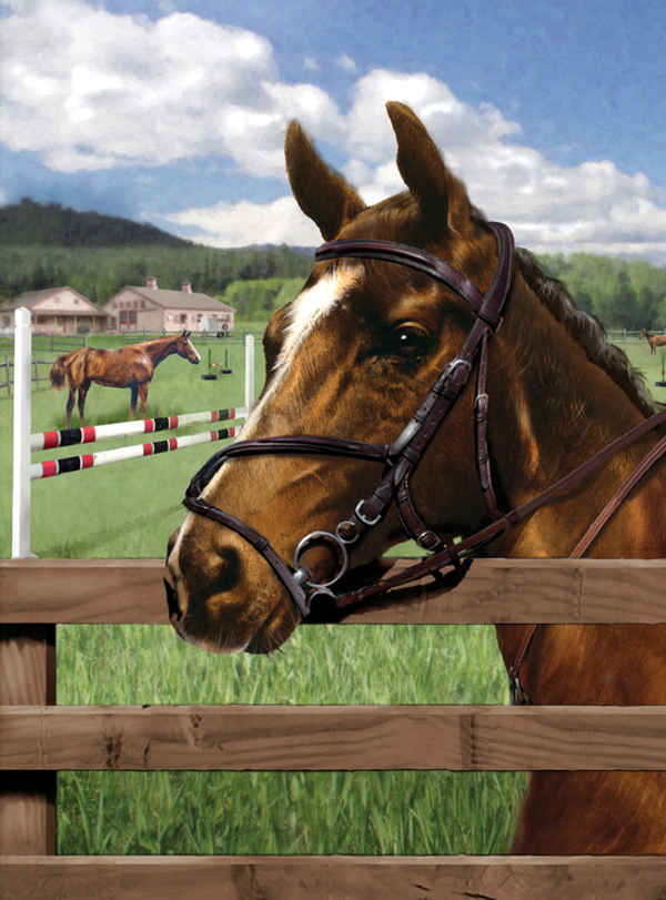 Schilderen op nummer Equine paddock