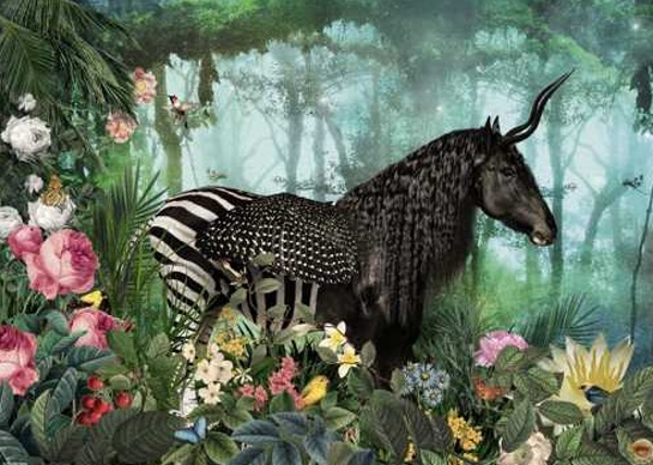 Puzzel Equpidae 1000st