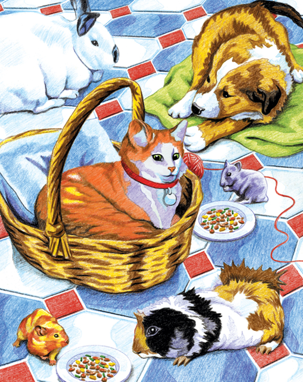 Kleuren op nummer Family pets