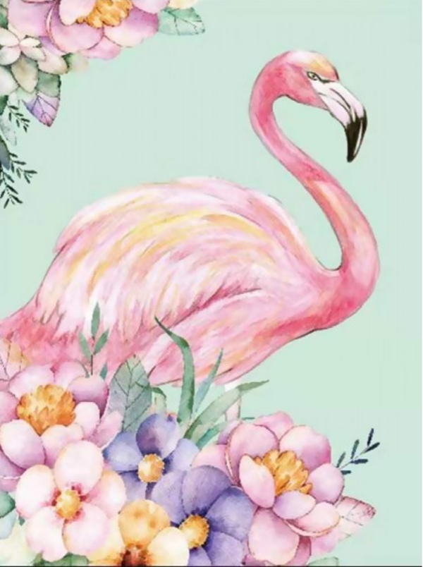 Flamingo