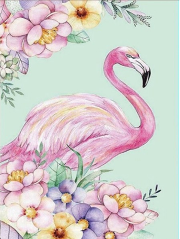 flamingo