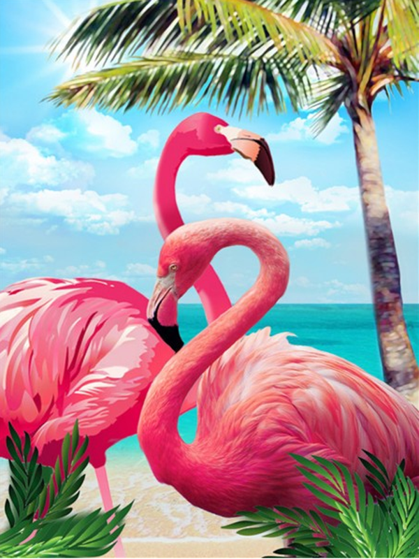 Flamingos