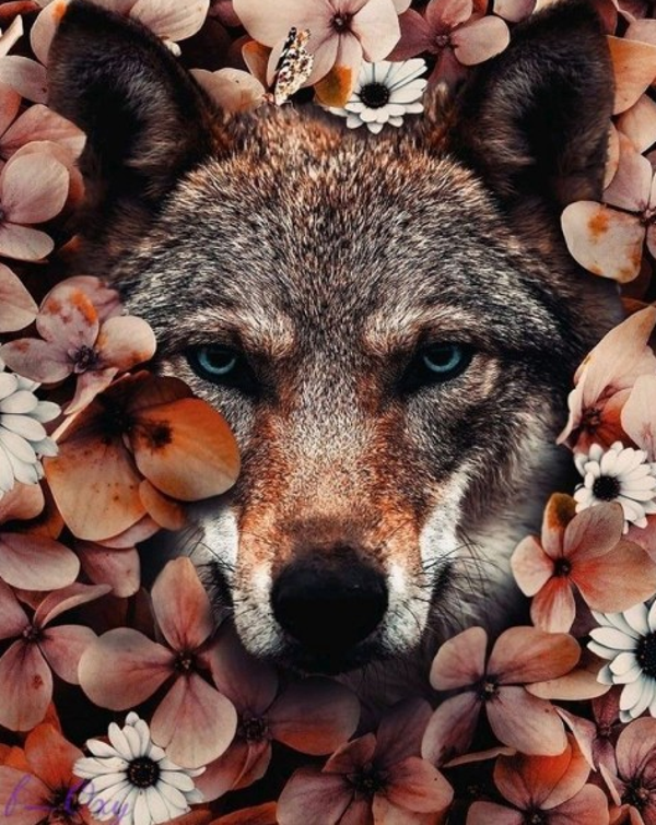 flower wolf
