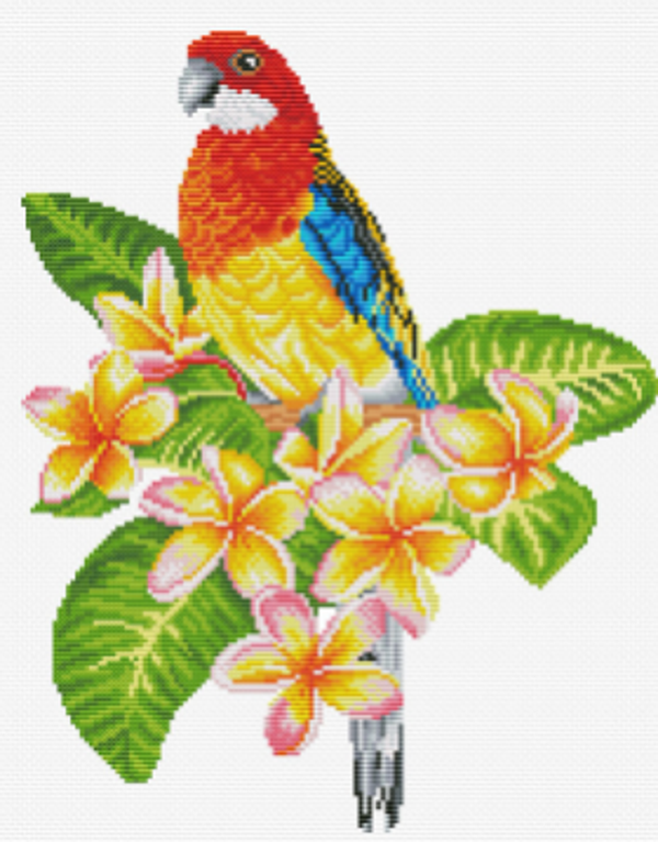 Borduurpakket Frangipanni Rosella