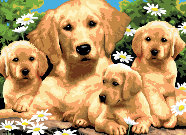 Schilderen op nummer golden retriever