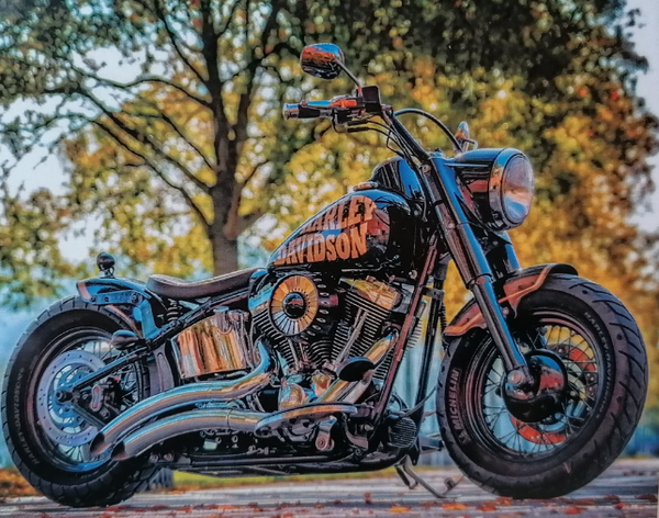 Harley Davidson