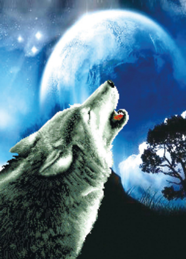 Borduurpakket howling wolf