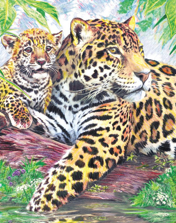 Kleuren op nummer Jaguars