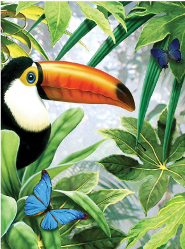 Schilderen op nummer jungle toucan