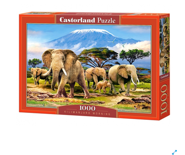 Puzzel Kilimanjaro morning 1000st