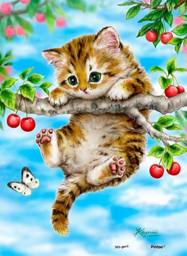 Kitten in tree