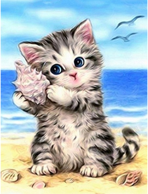 Kitten on the beach