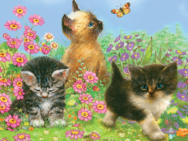 Kleuren op nummer kittens