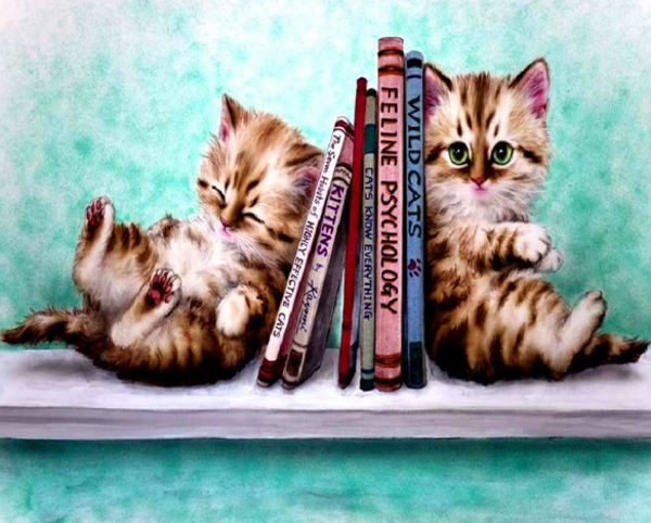 Kittens and books