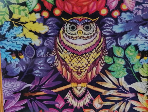 Kleurrijke uil