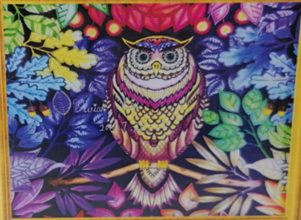 Kleurrijke uil