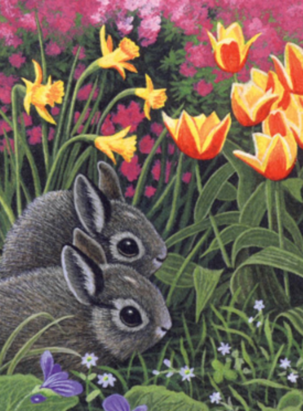 Schilderen op nummer konijnen
